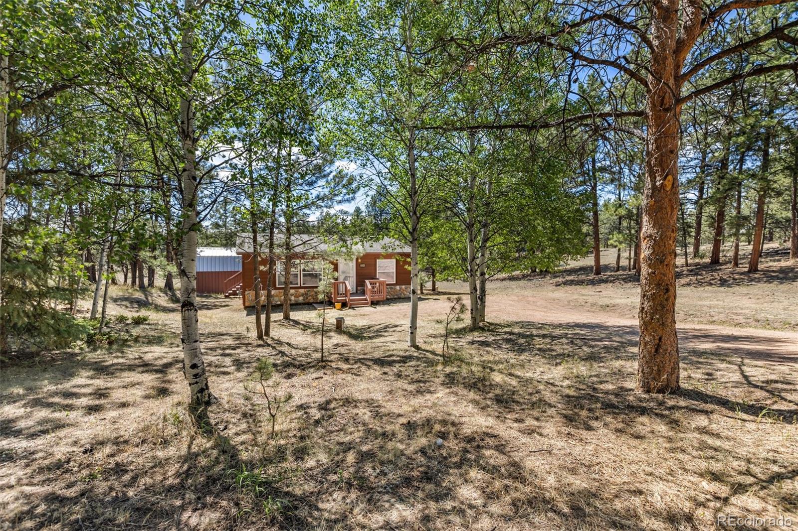 MLS Image #15 for 331  rhyolite lane,florissant, Colorado