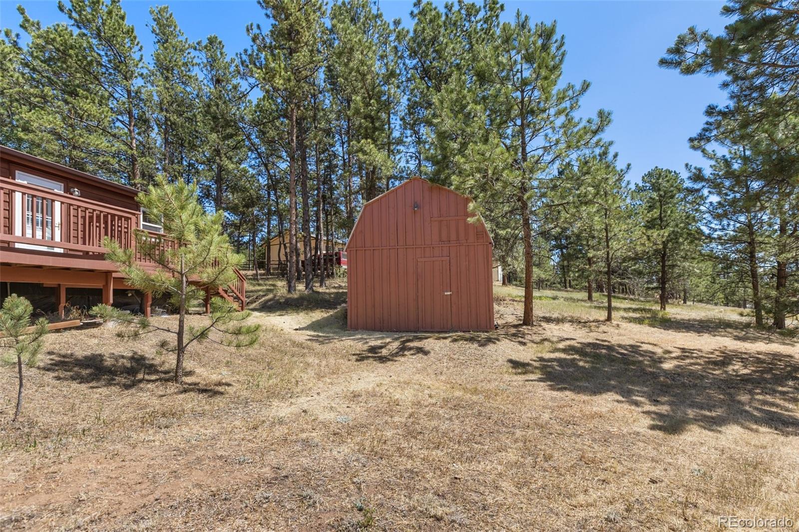 MLS Image #16 for 331  rhyolite lane,florissant, Colorado