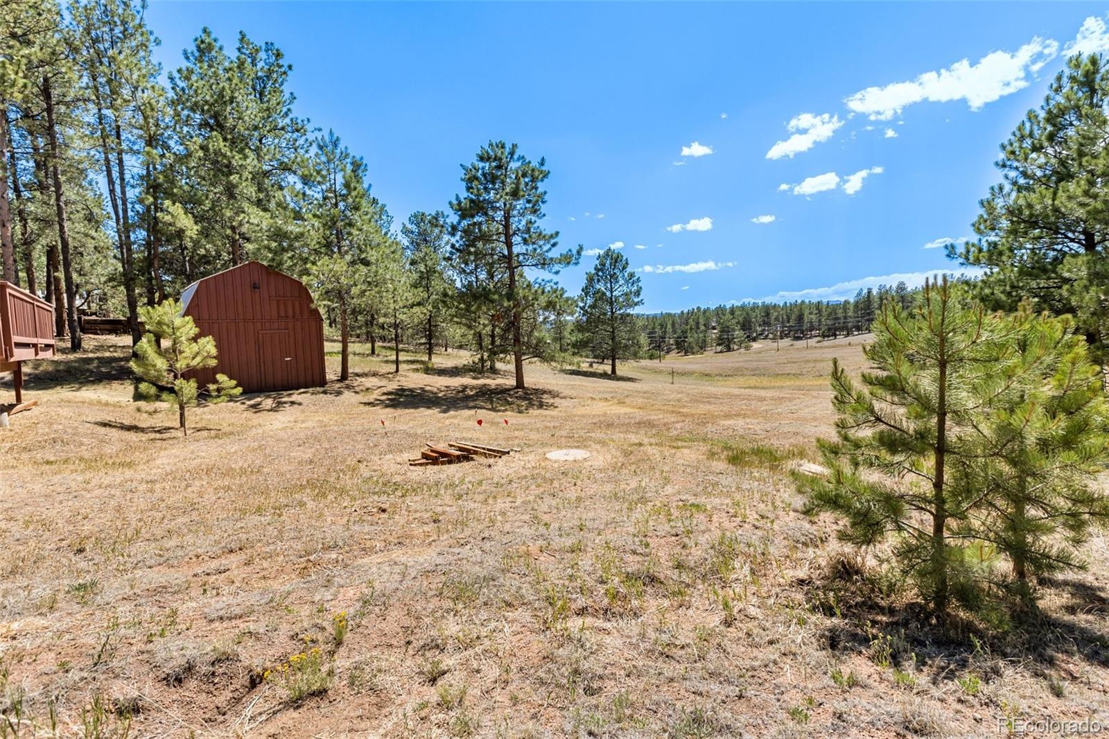 MLS Image #17 for 331  rhyolite lane,florissant, Colorado