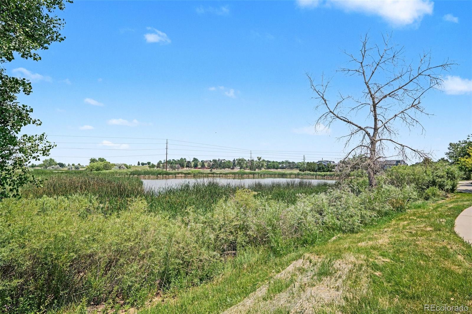 MLS Image #27 for 4451 s ammons street,littleton, Colorado