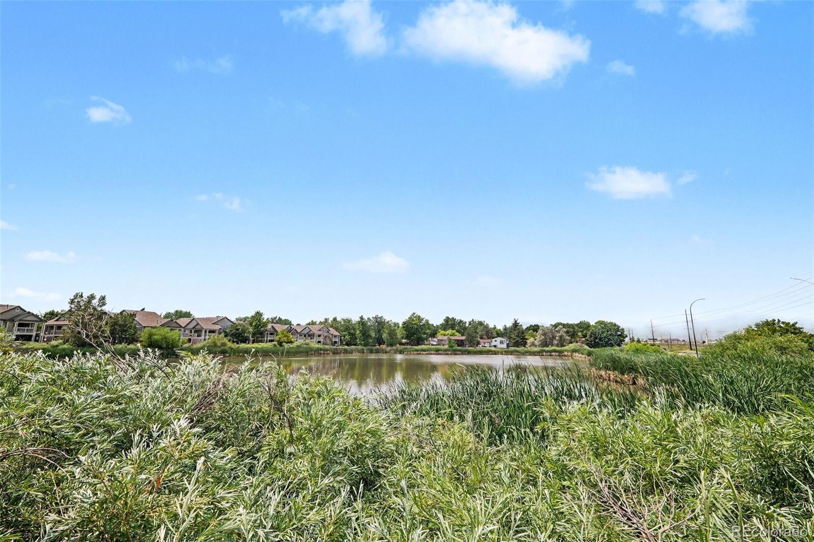 MLS Image #28 for 4451 s ammons street,littleton, Colorado