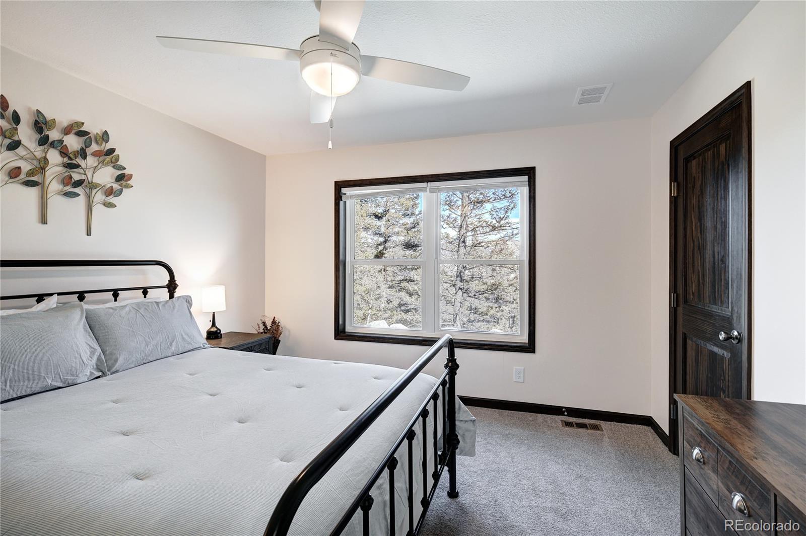 MLS Image #13 for 2755  redhill road,fairplay, Colorado