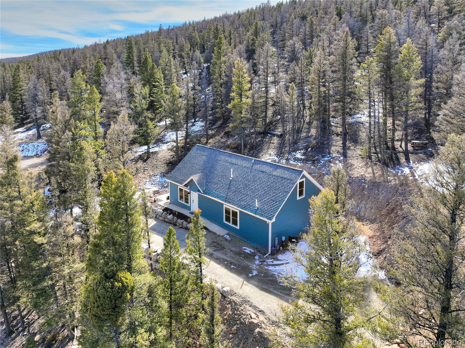 MLS Image #6 for 2755  redhill road,fairplay, Colorado