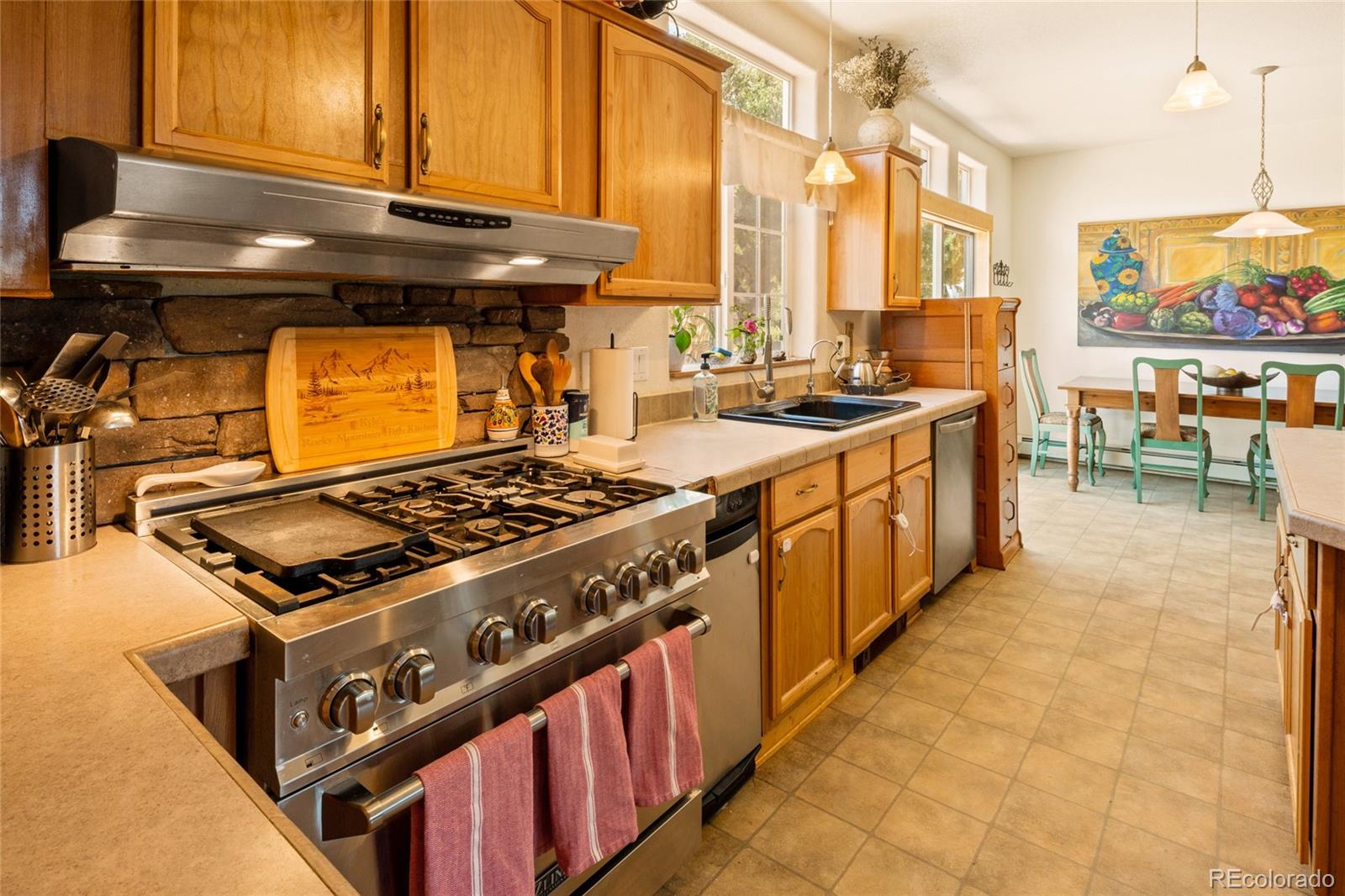 MLS Image #20 for 3510  enchanted way,crestone, Colorado