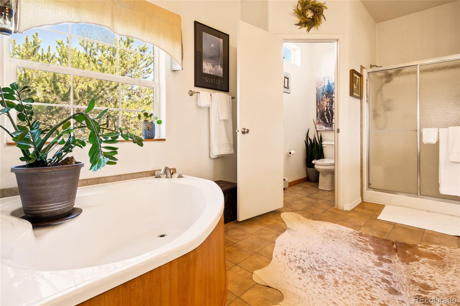 MLS Image #25 for 3510  enchanted way,crestone, Colorado
