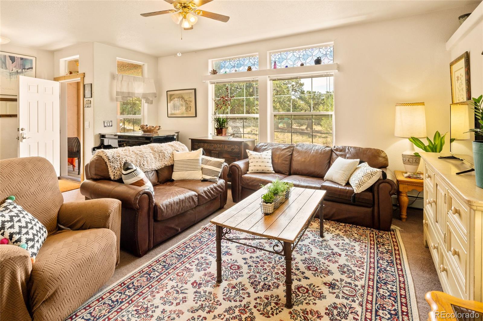 MLS Image #6 for 3510  enchanted way,crestone, Colorado