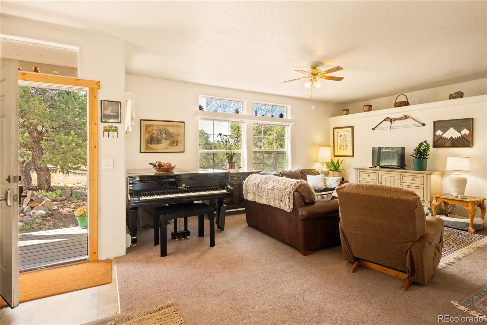 MLS Image #7 for 3510  enchanted way,crestone, Colorado