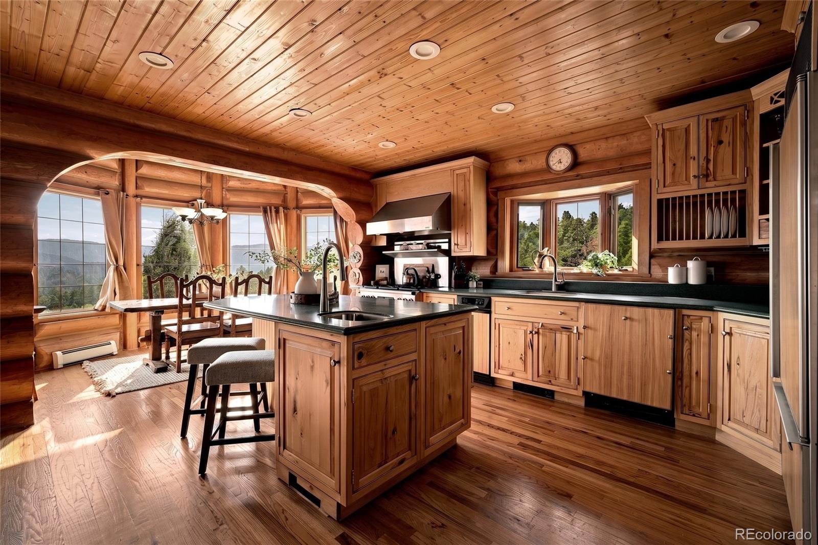 MLS Image #5 for 13891  quaking aspen lane,larkspur, Colorado