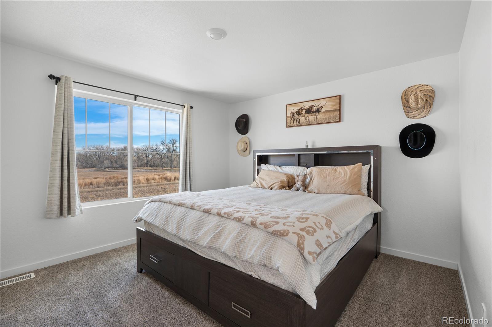 MLS Image #23 for 461  condor way,johnstown, Colorado