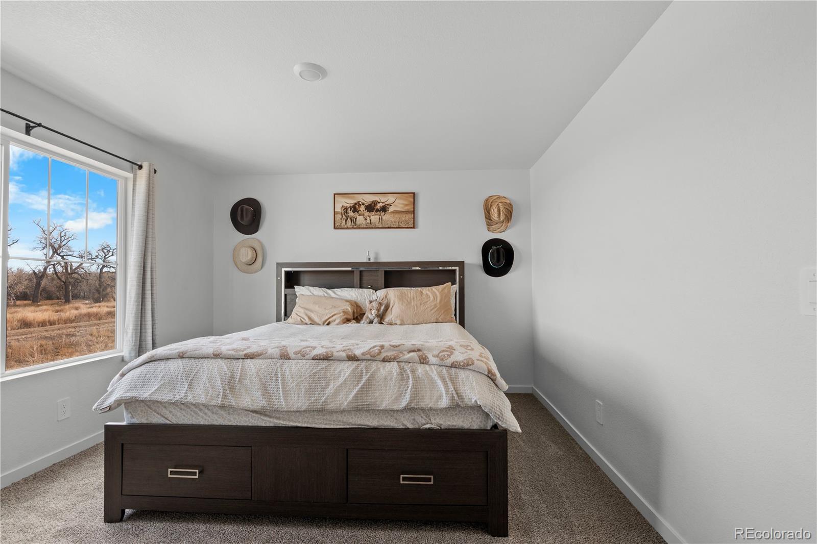 MLS Image #25 for 461  condor way,johnstown, Colorado