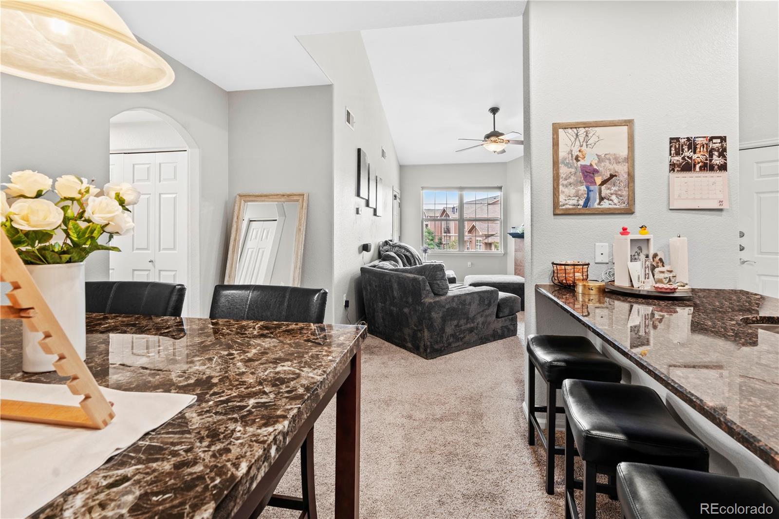 MLS Image #13 for 10787  twenty mile road,parker, Colorado