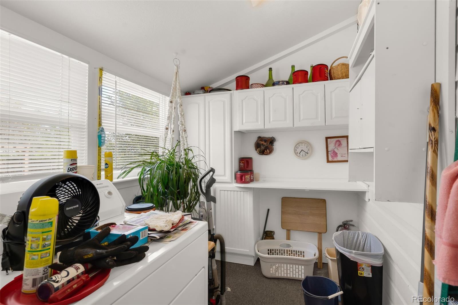 MLS Image #21 for 425  pine avenue,canon city, Colorado