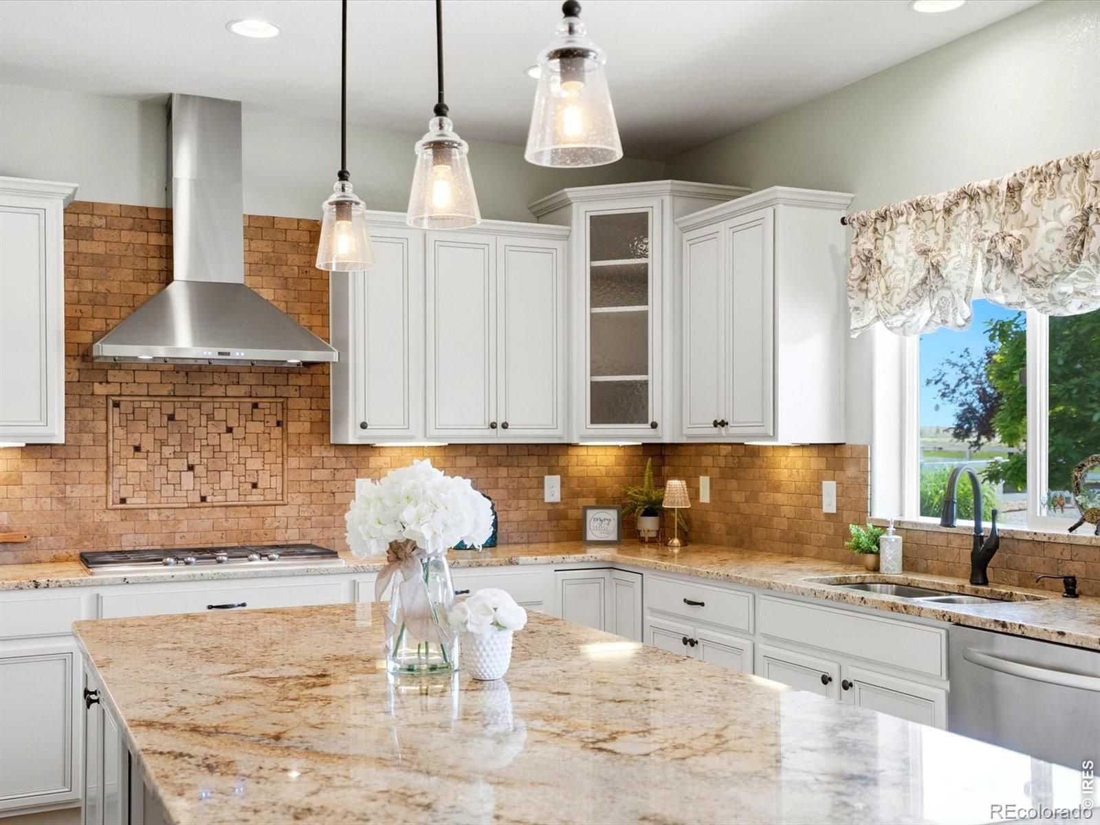 MLS Image #18 for 5035  peregrine road,dacono, Colorado