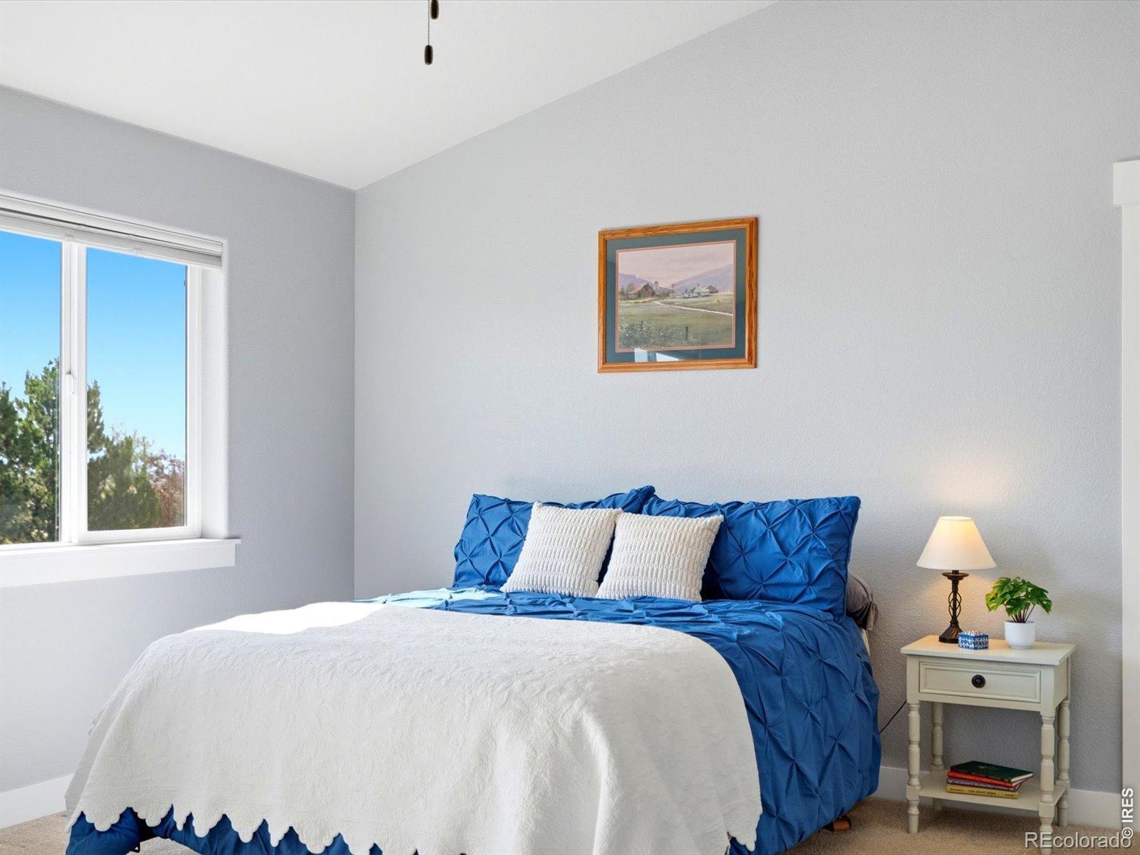 MLS Image #37 for 5035  peregrine road,dacono, Colorado