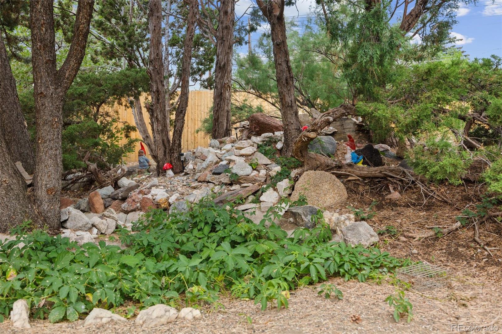MLS Image #43 for 505  catalina drive,colorado springs, Colorado
