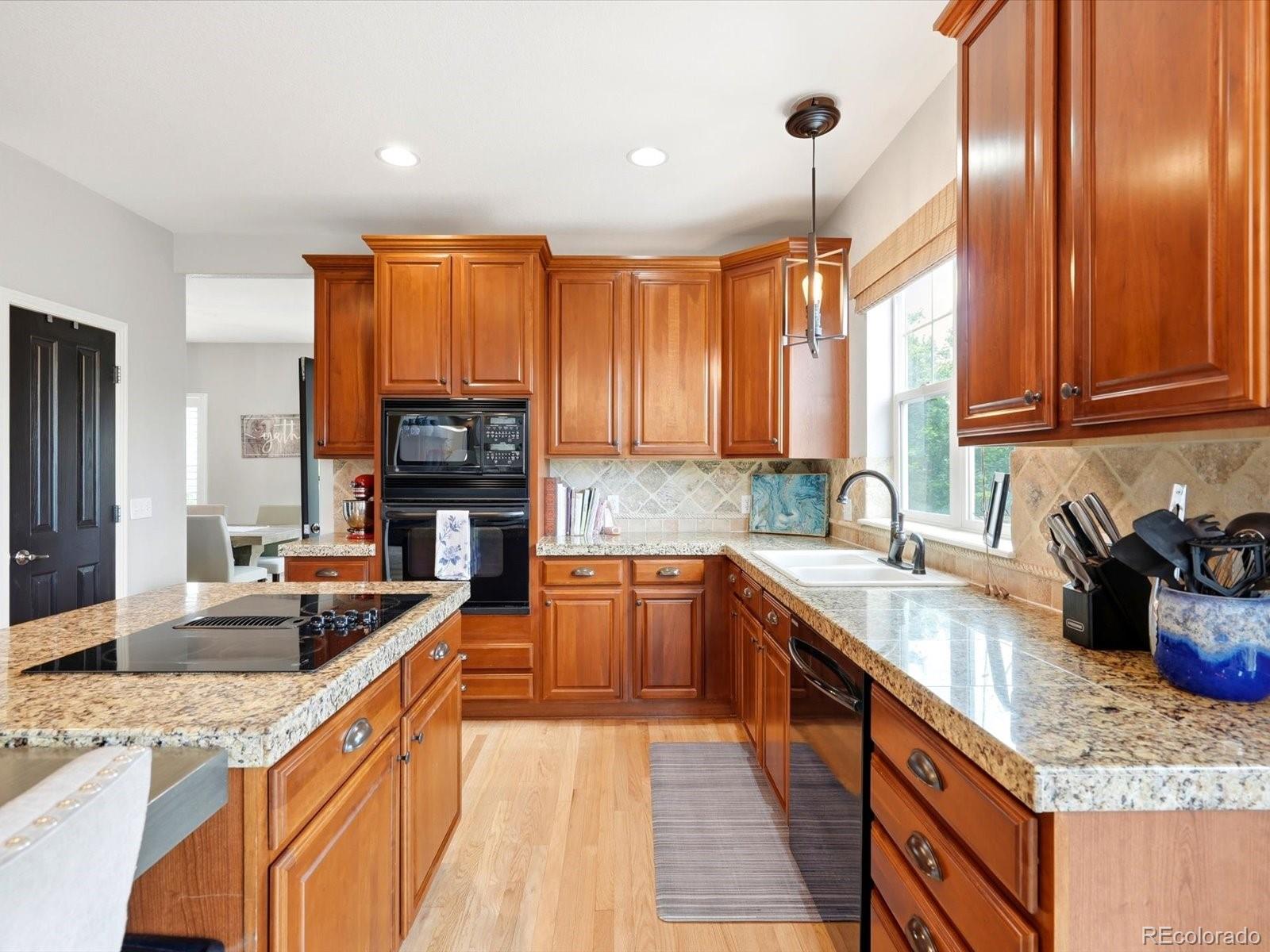 MLS Image #14 for 4579  broadview court,castle rock, Colorado