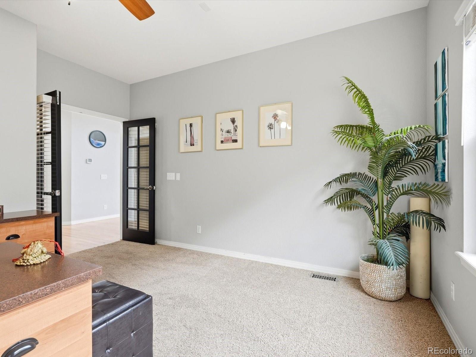 MLS Image #17 for 4579  broadview court,castle rock, Colorado