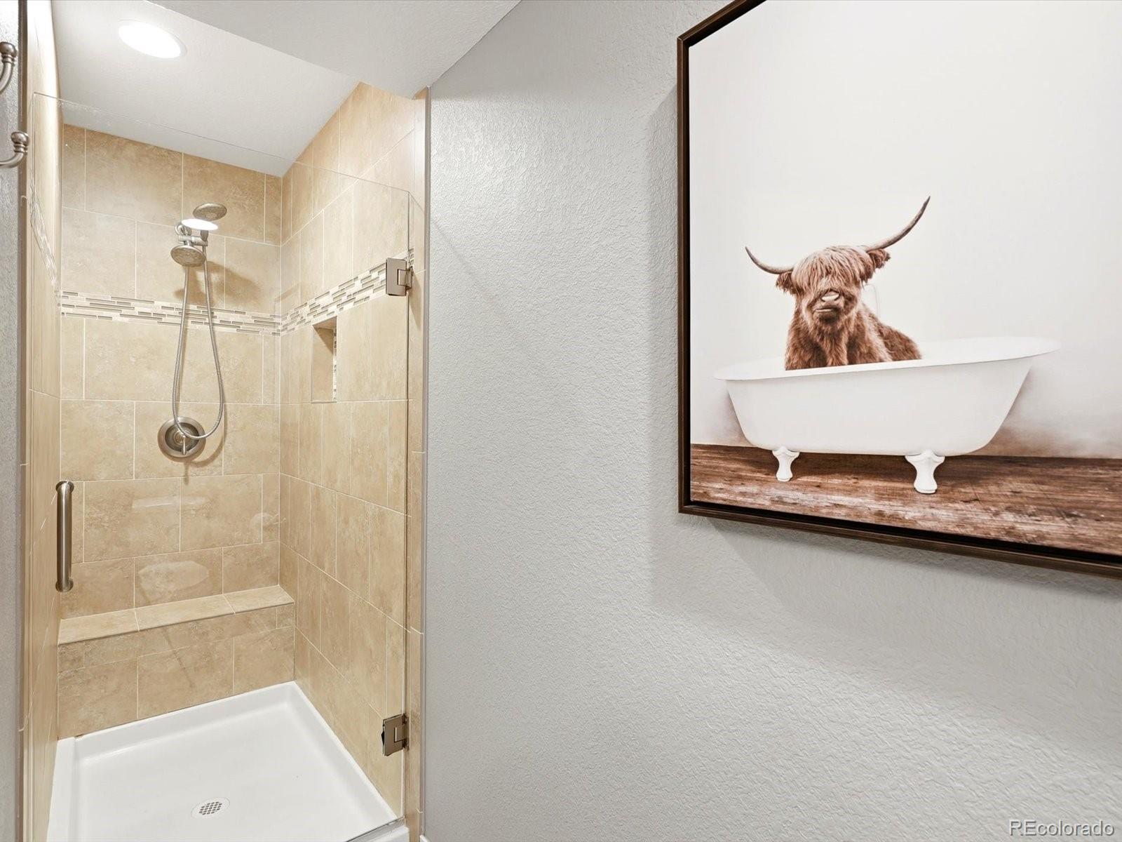MLS Image #39 for 4579  broadview court,castle rock, Colorado