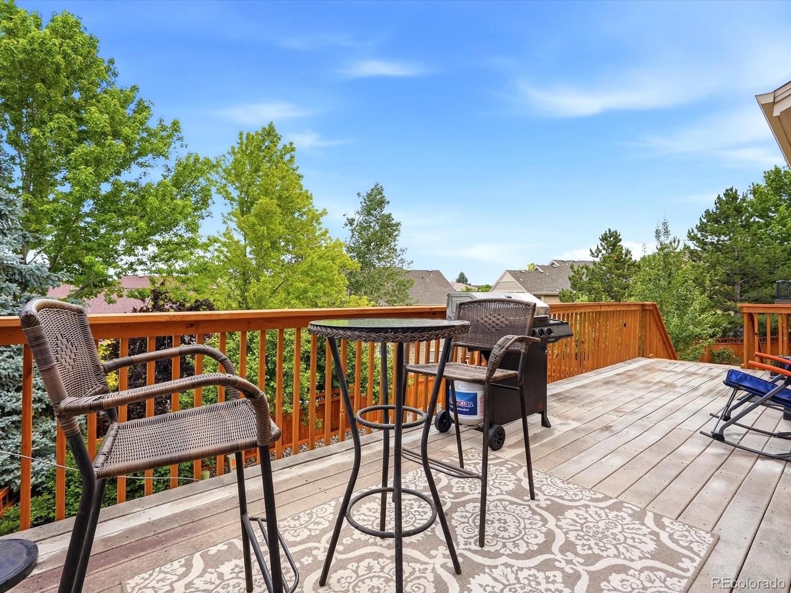 MLS Image #44 for 4579  broadview court,castle rock, Colorado