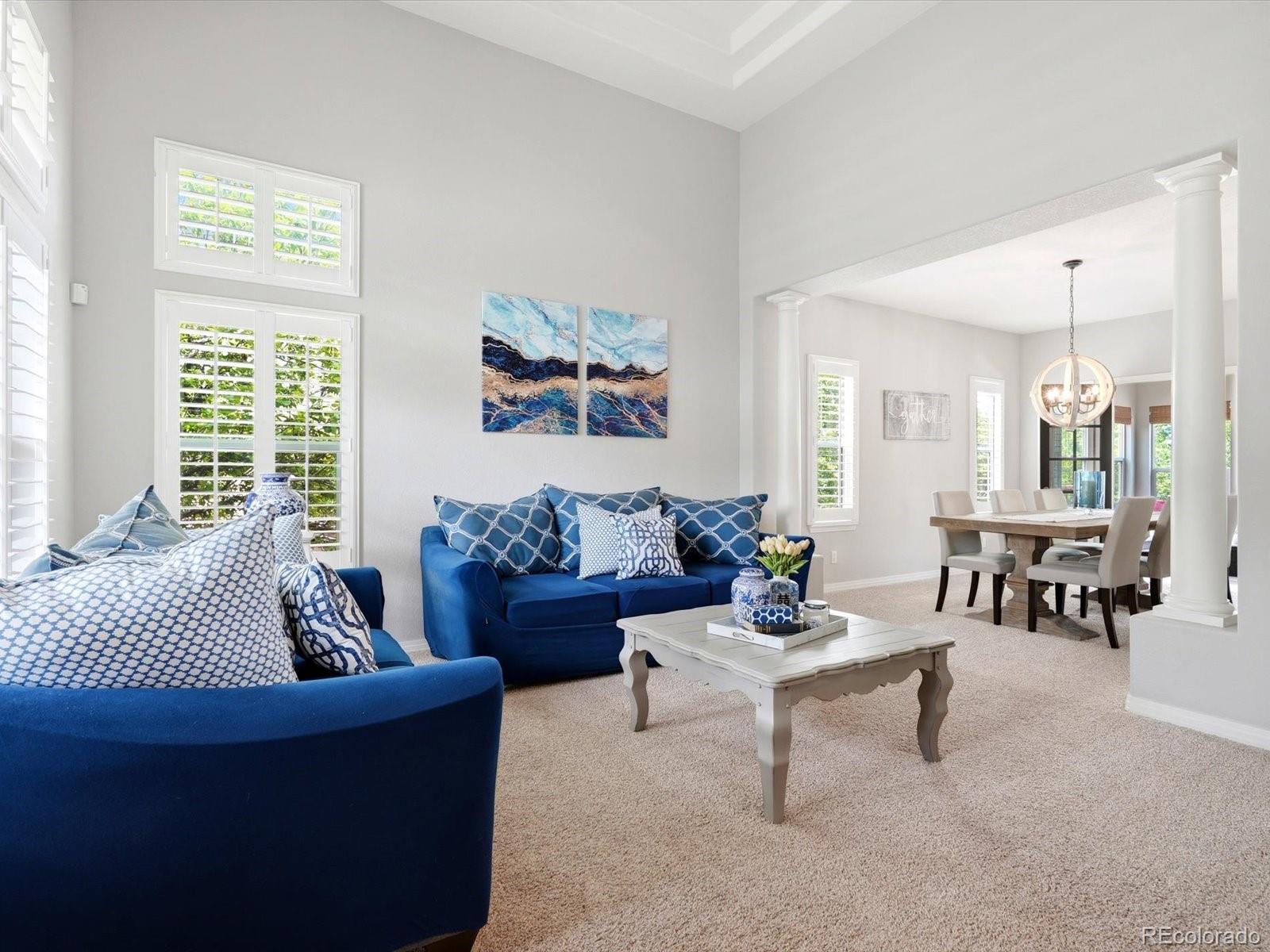 MLS Image #5 for 4579  broadview court,castle rock, Colorado