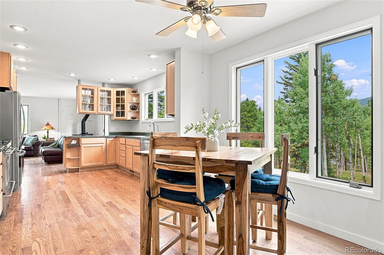 MLS Image #4 for 25457  snyder avenue,conifer, Colorado