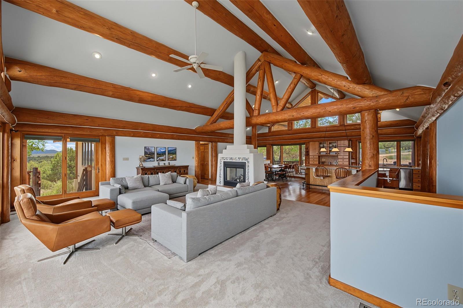 MLS Image #18 for 334  cottonwood trail,cotopaxi, Colorado