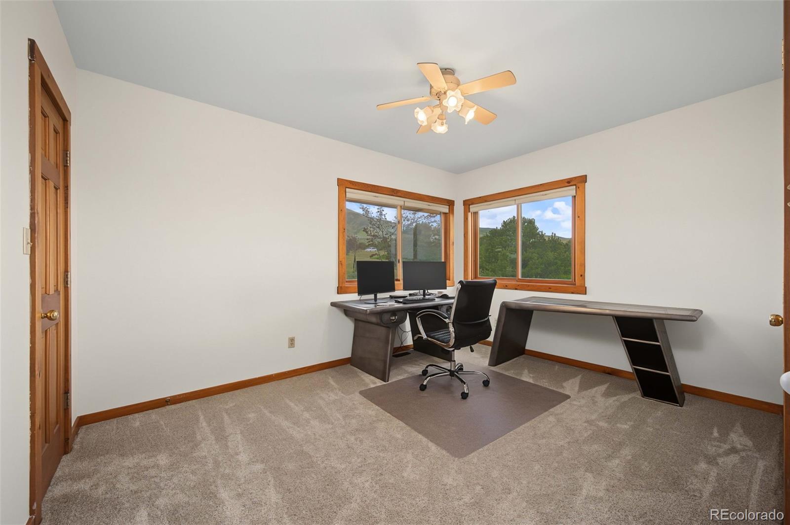 MLS Image #31 for 334  cottonwood trail,cotopaxi, Colorado