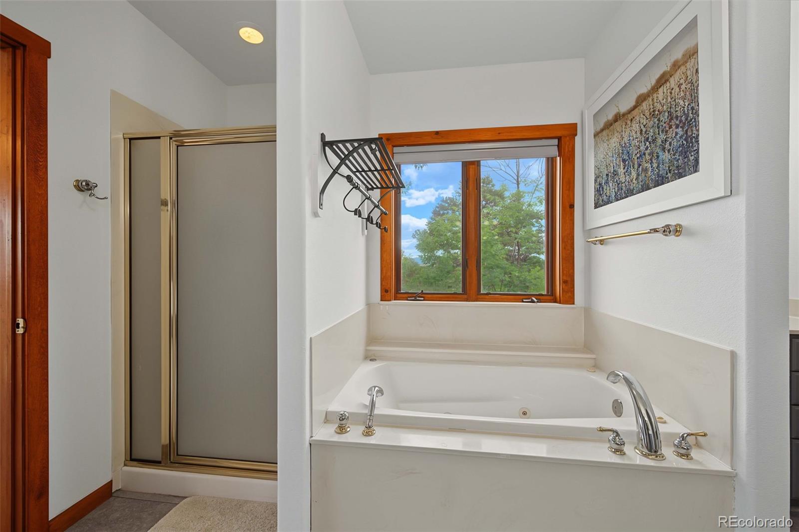 MLS Image #35 for 334  cottonwood trail,cotopaxi, Colorado