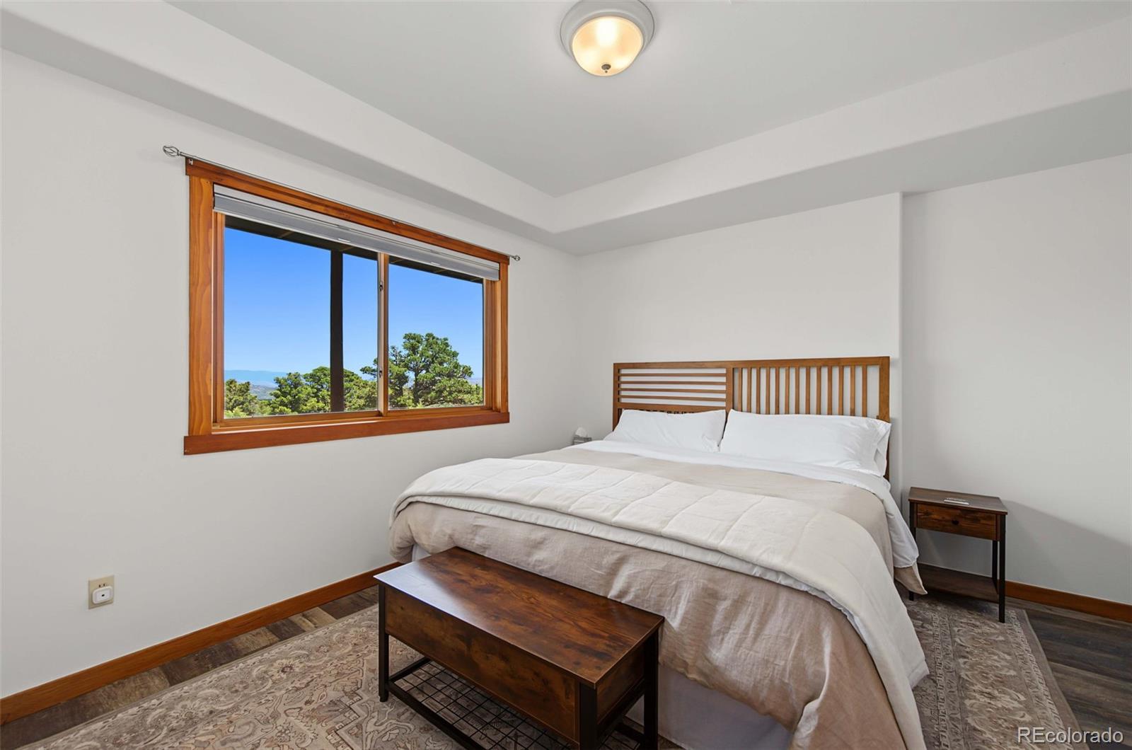 MLS Image #38 for 334  cottonwood trail,cotopaxi, Colorado