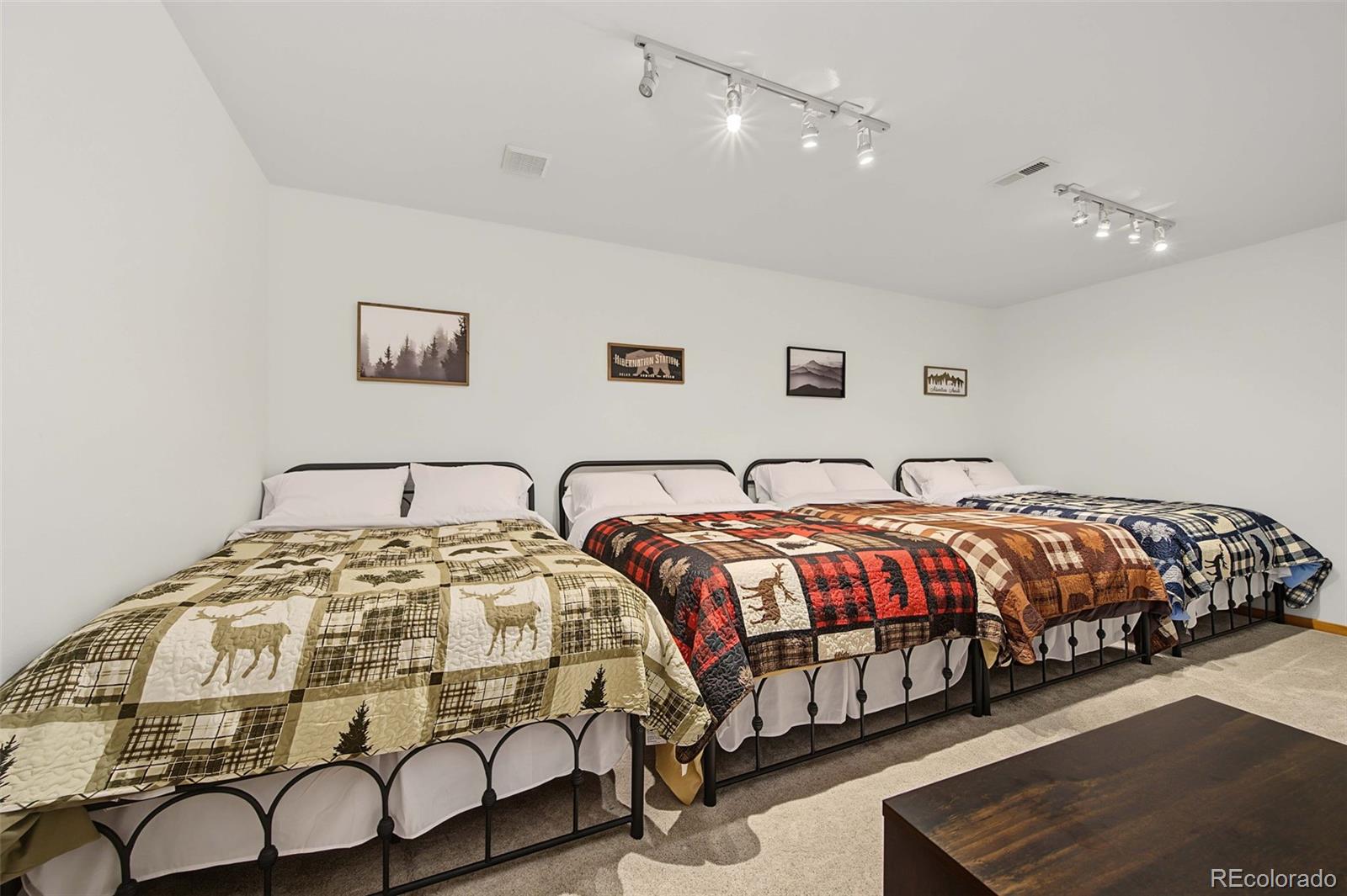 MLS Image #45 for 334  cottonwood trail,cotopaxi, Colorado