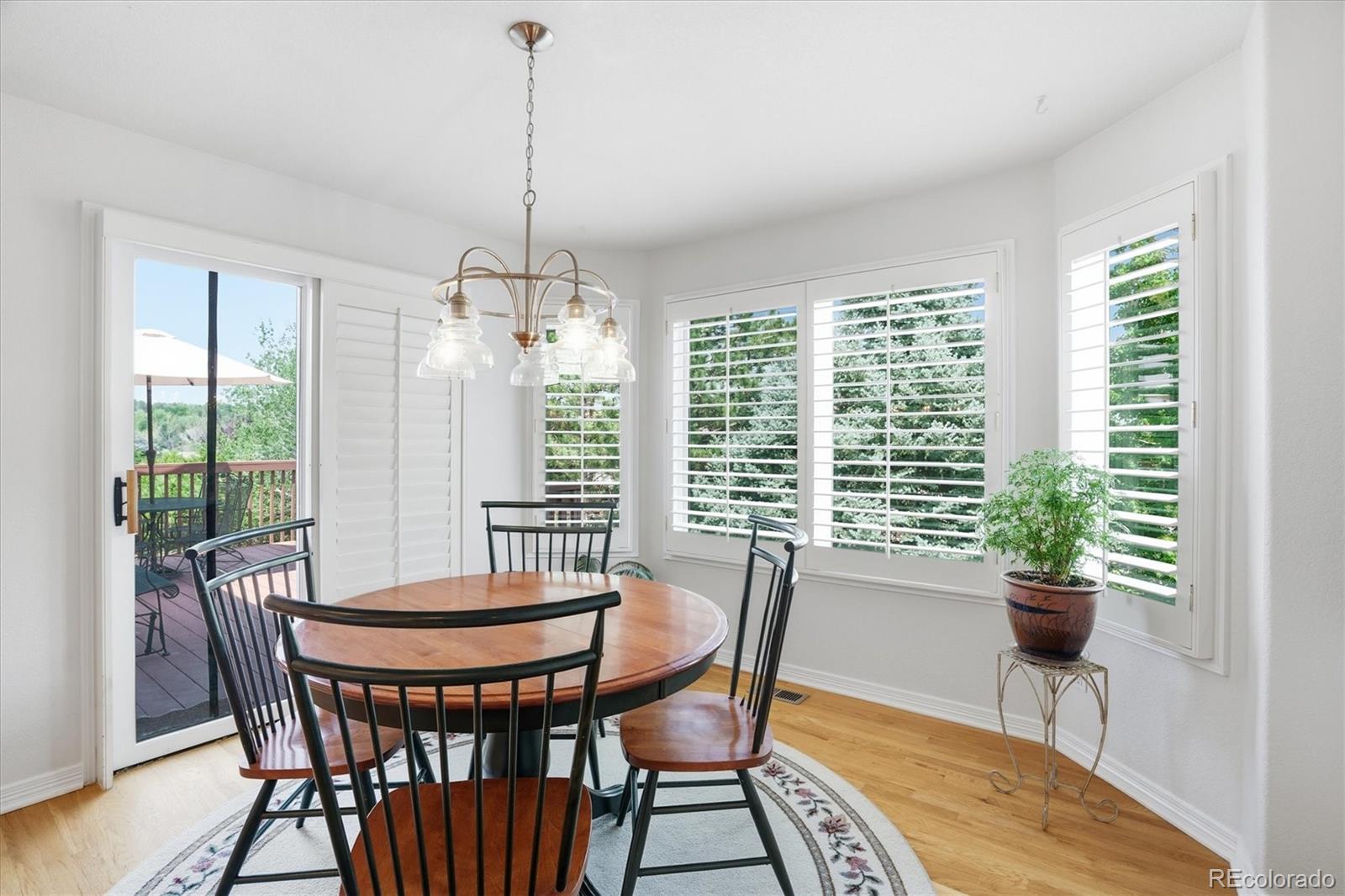 MLS Image #22 for 2334 s union court,denver, Colorado