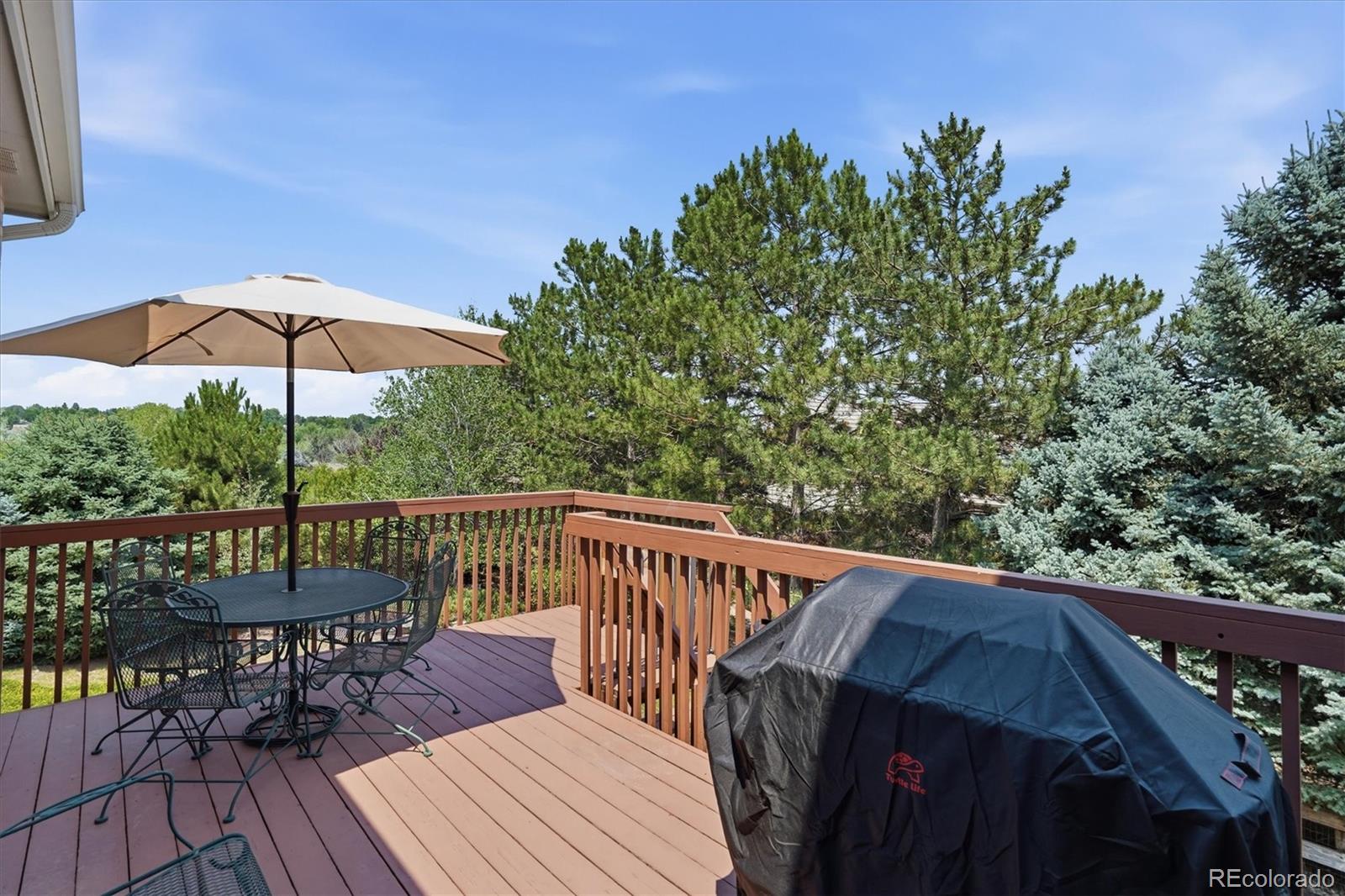 MLS Image #23 for 2334 s union court,denver, Colorado