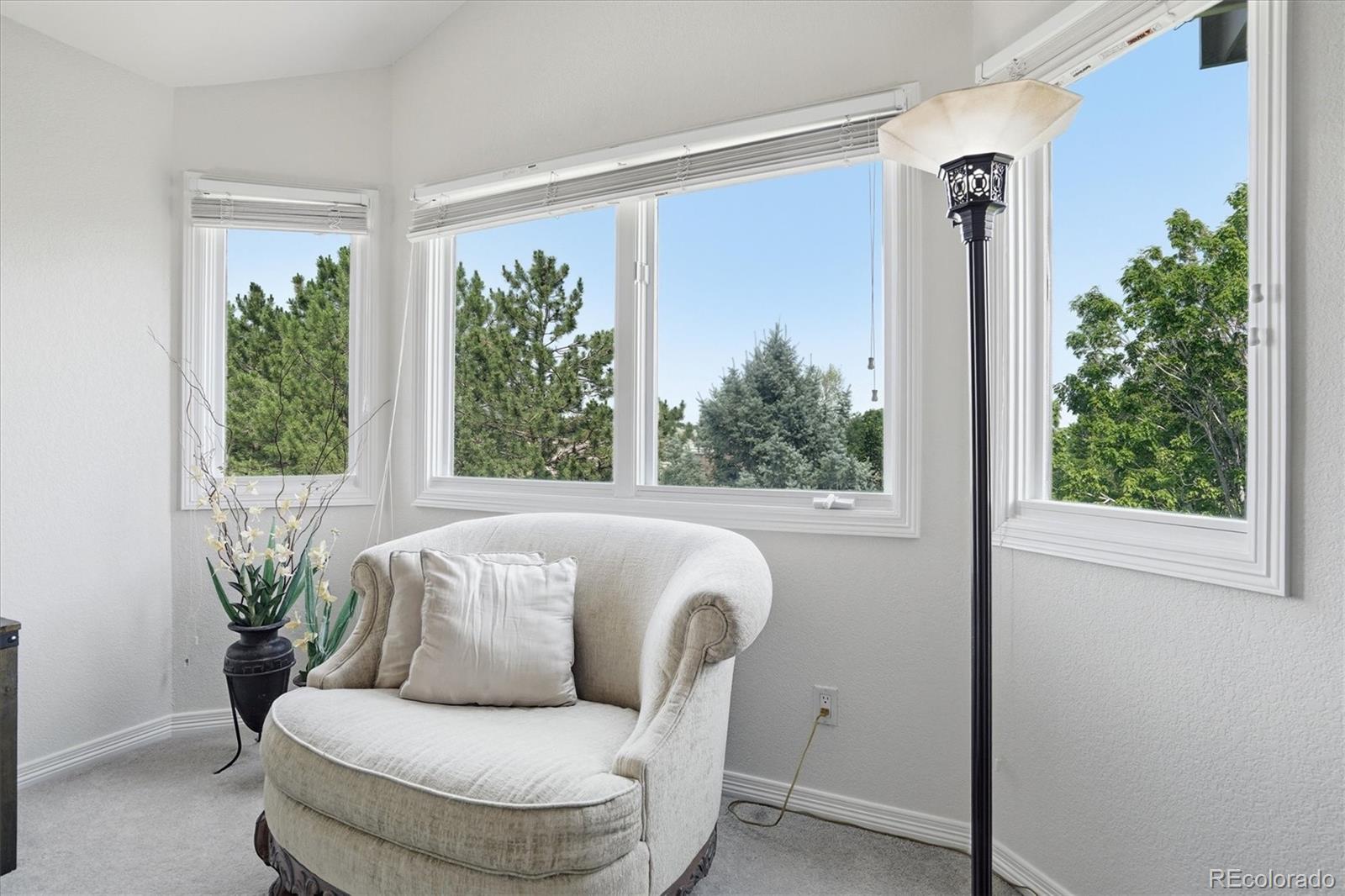 MLS Image #32 for 2334 s union court,denver, Colorado