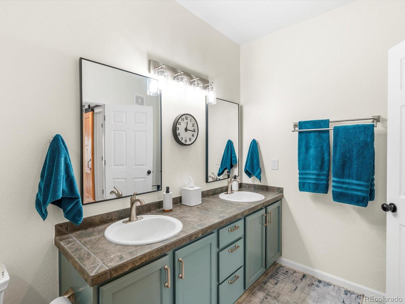 MLS Image #14 for 9306  amison circle,parker, Colorado