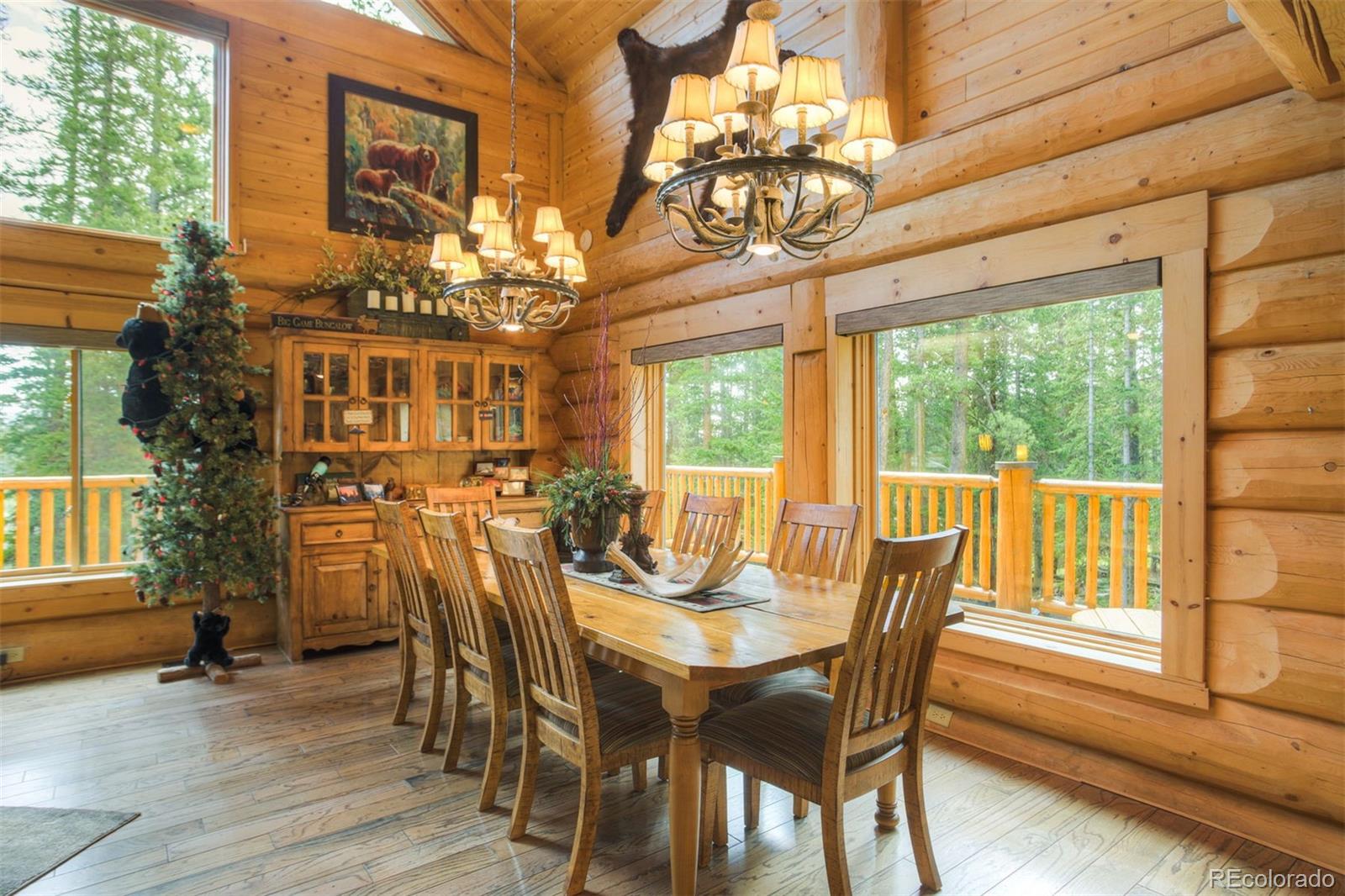 MLS Image #10 for 180  zebulon court,fairplay, Colorado