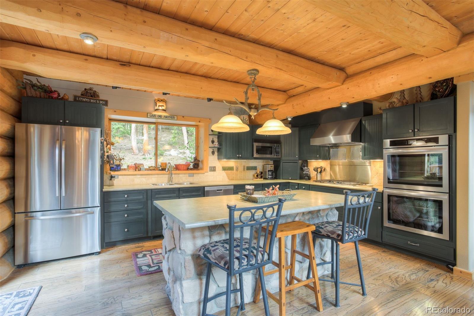 MLS Image #11 for 180  zebulon court,fairplay, Colorado