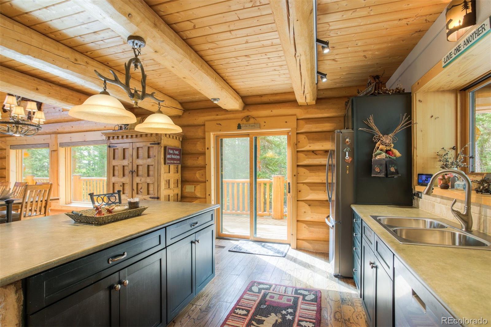 MLS Image #12 for 180  zebulon court,fairplay, Colorado