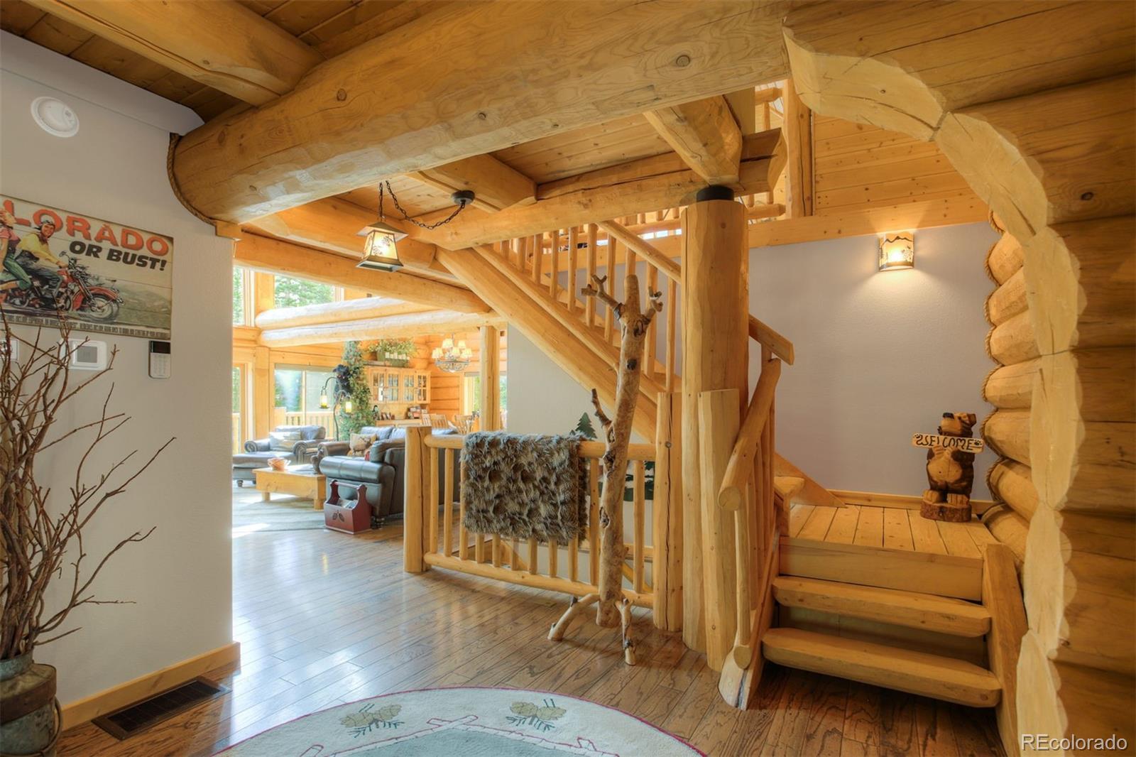 MLS Image #14 for 180  zebulon court,fairplay, Colorado