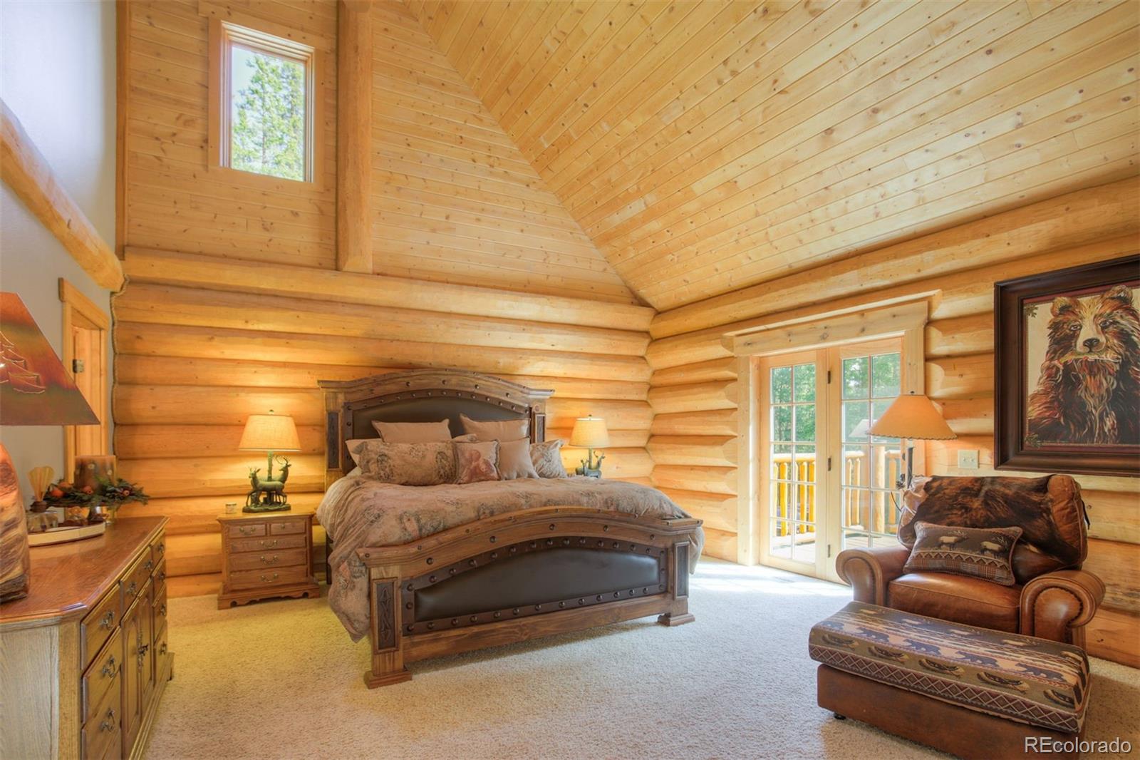 MLS Image #15 for 180  zebulon court,fairplay, Colorado