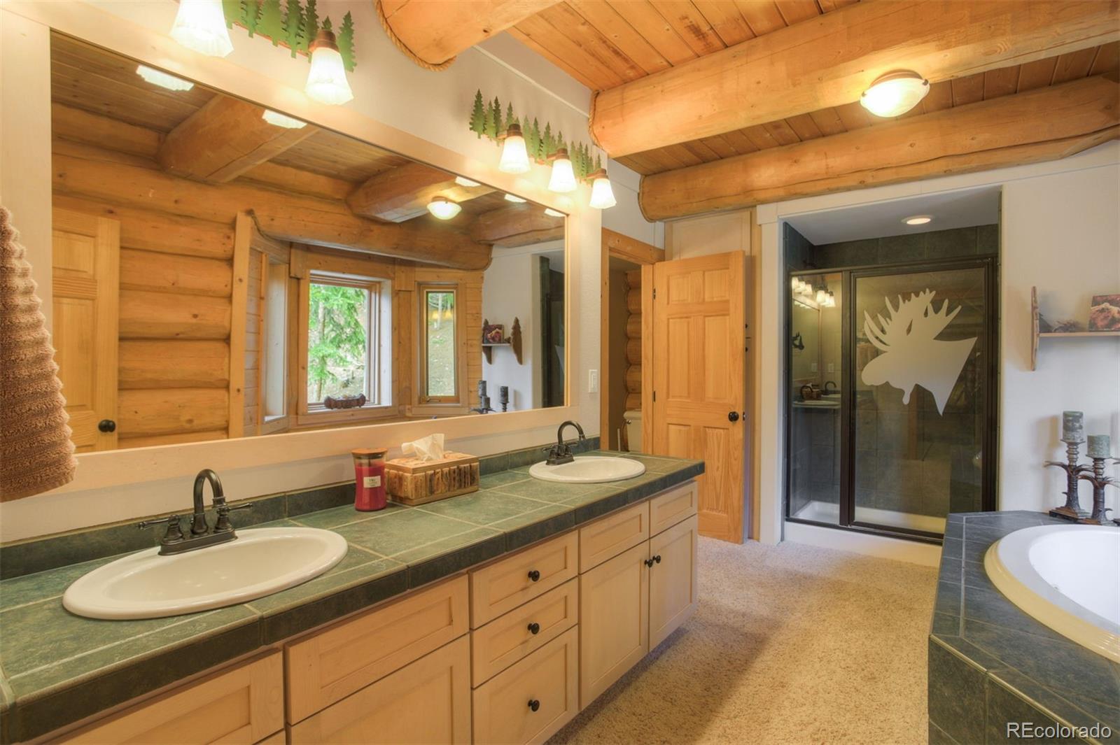 MLS Image #17 for 180  zebulon court,fairplay, Colorado