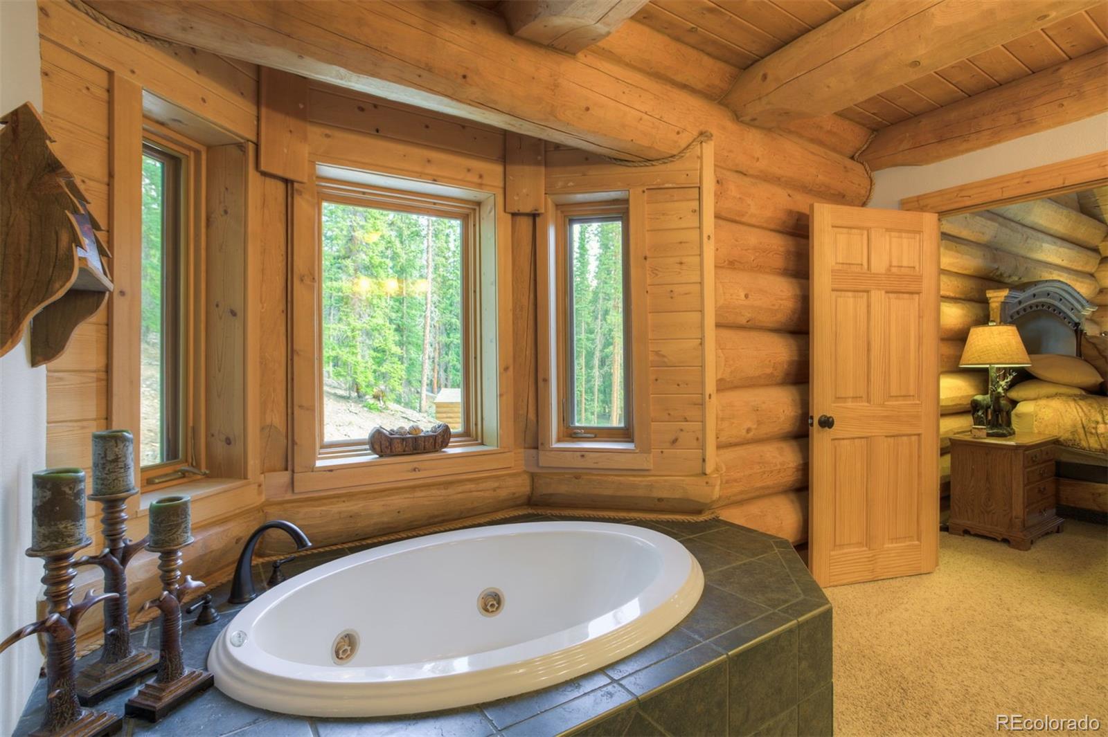 MLS Image #18 for 180  zebulon court,fairplay, Colorado
