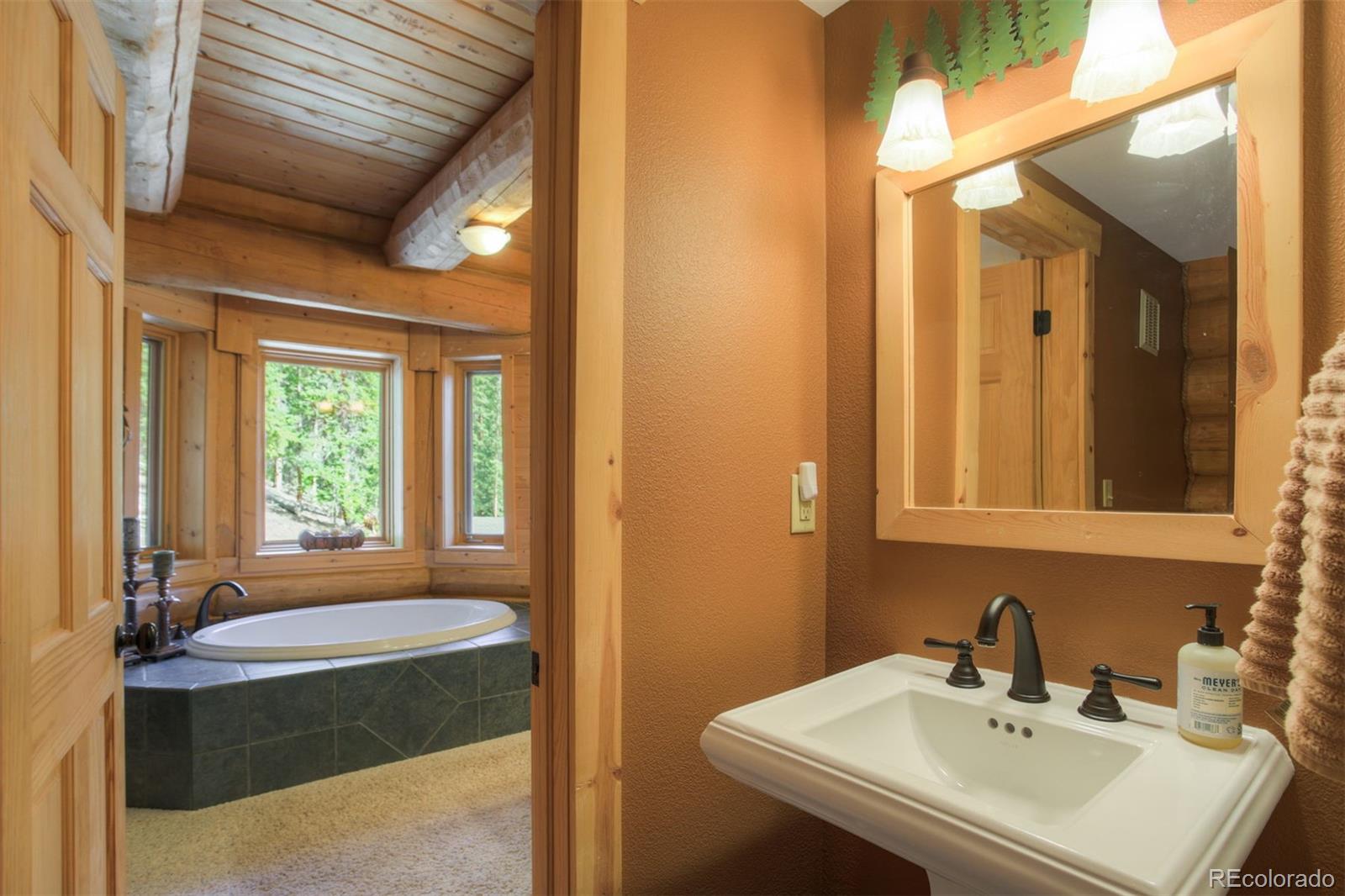 MLS Image #19 for 180  zebulon court,fairplay, Colorado