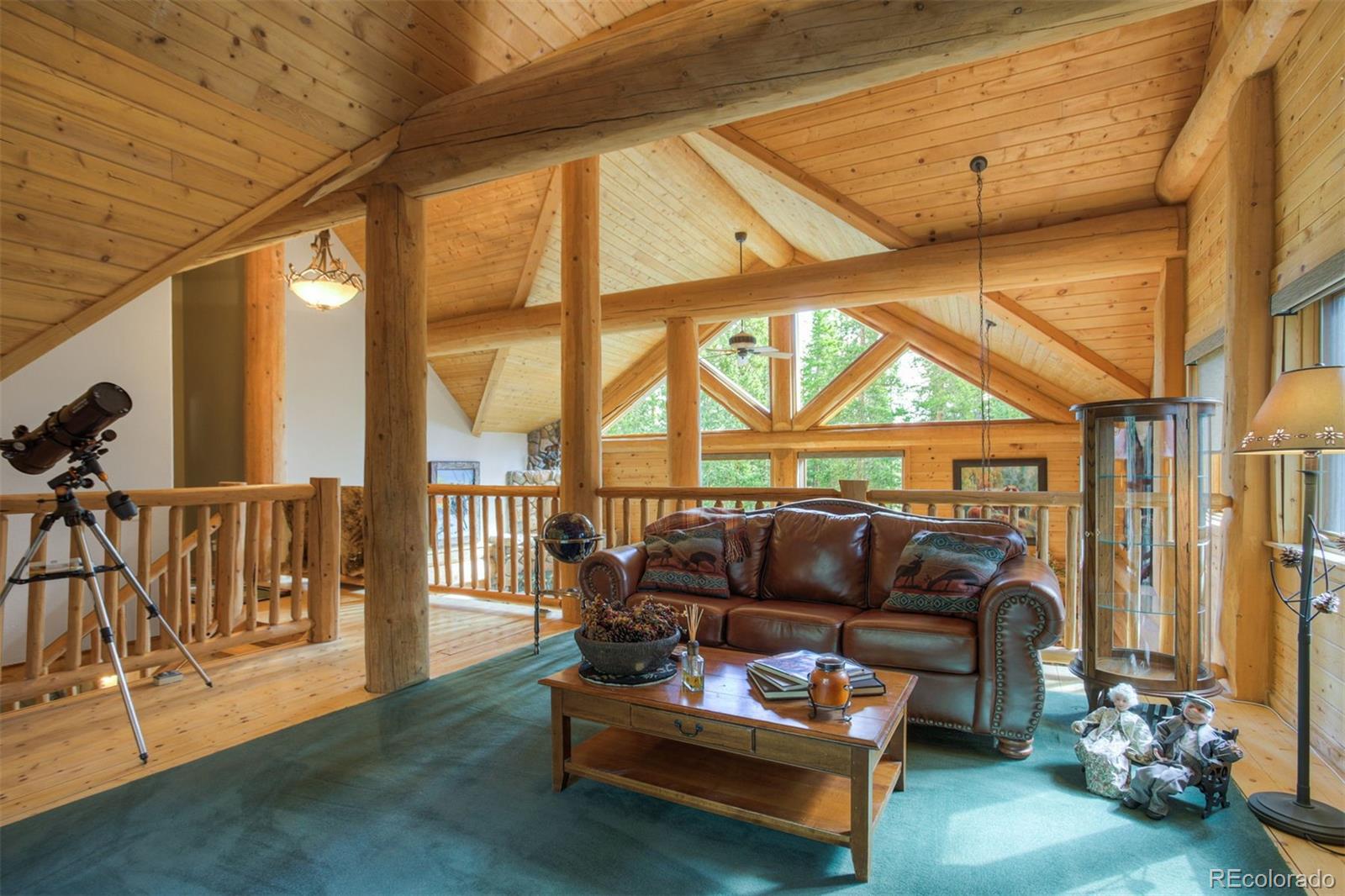 MLS Image #21 for 180  zebulon court,fairplay, Colorado