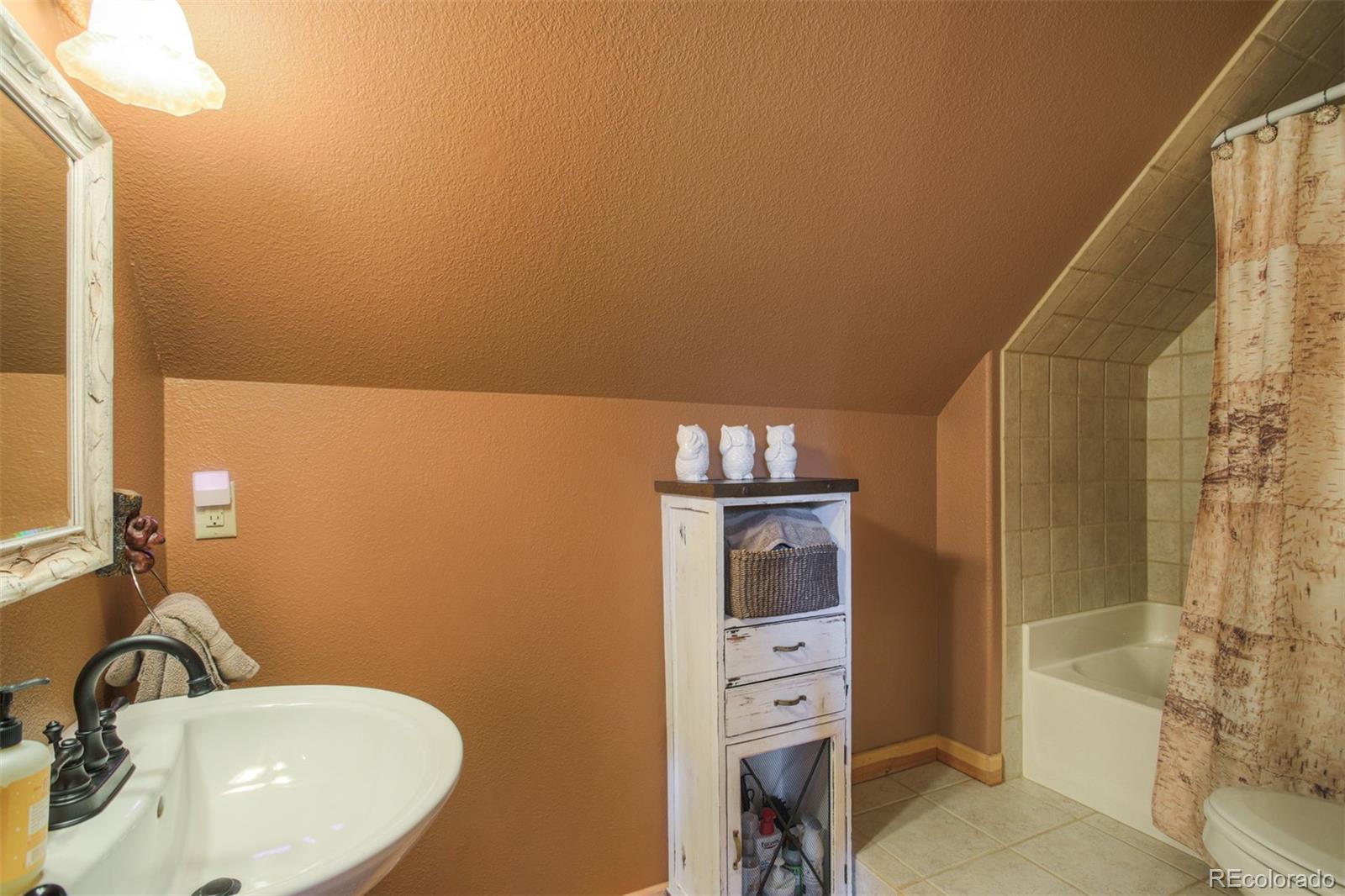 MLS Image #22 for 180  zebulon court,fairplay, Colorado