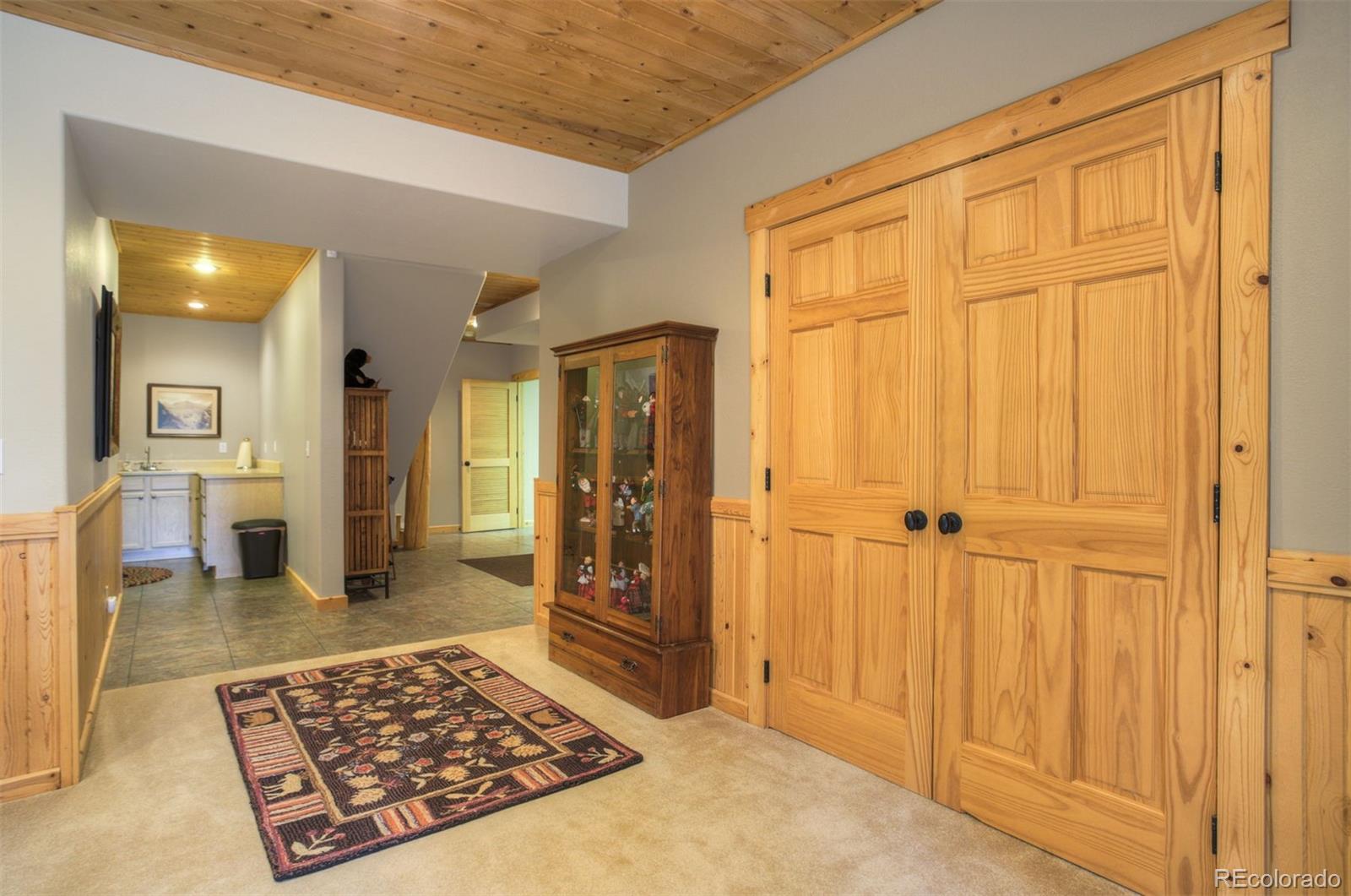 MLS Image #26 for 180  zebulon court,fairplay, Colorado