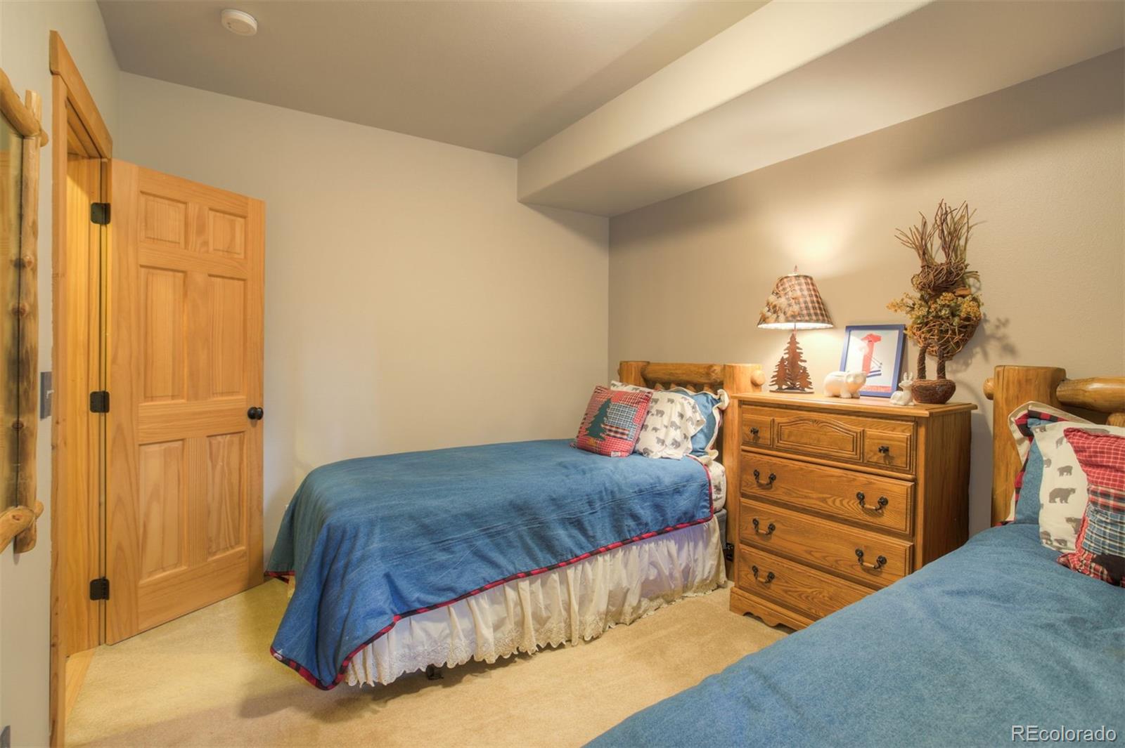 MLS Image #29 for 180  zebulon court,fairplay, Colorado