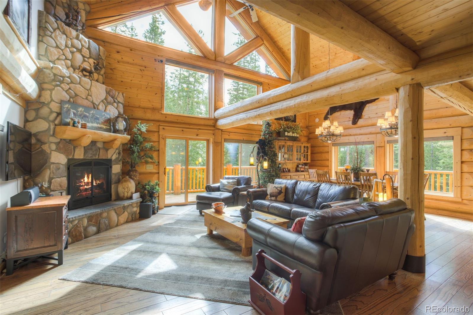 MLS Image #3 for 180  zebulon court,fairplay, Colorado