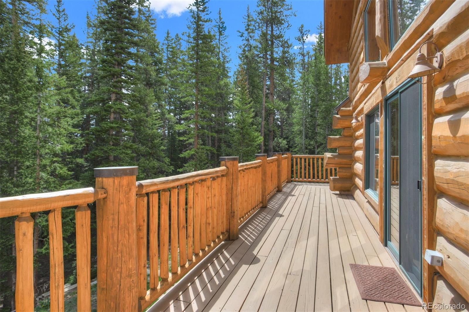 MLS Image #36 for 180  zebulon court,fairplay, Colorado
