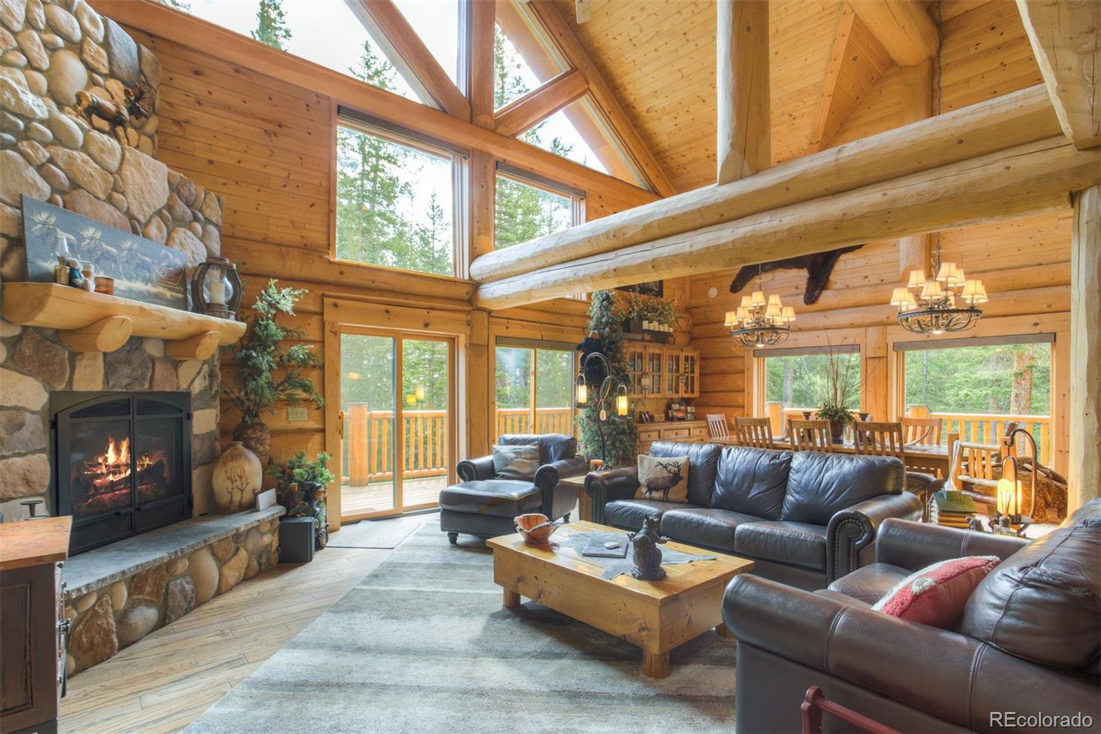 MLS Image #4 for 180  zebulon court,fairplay, Colorado