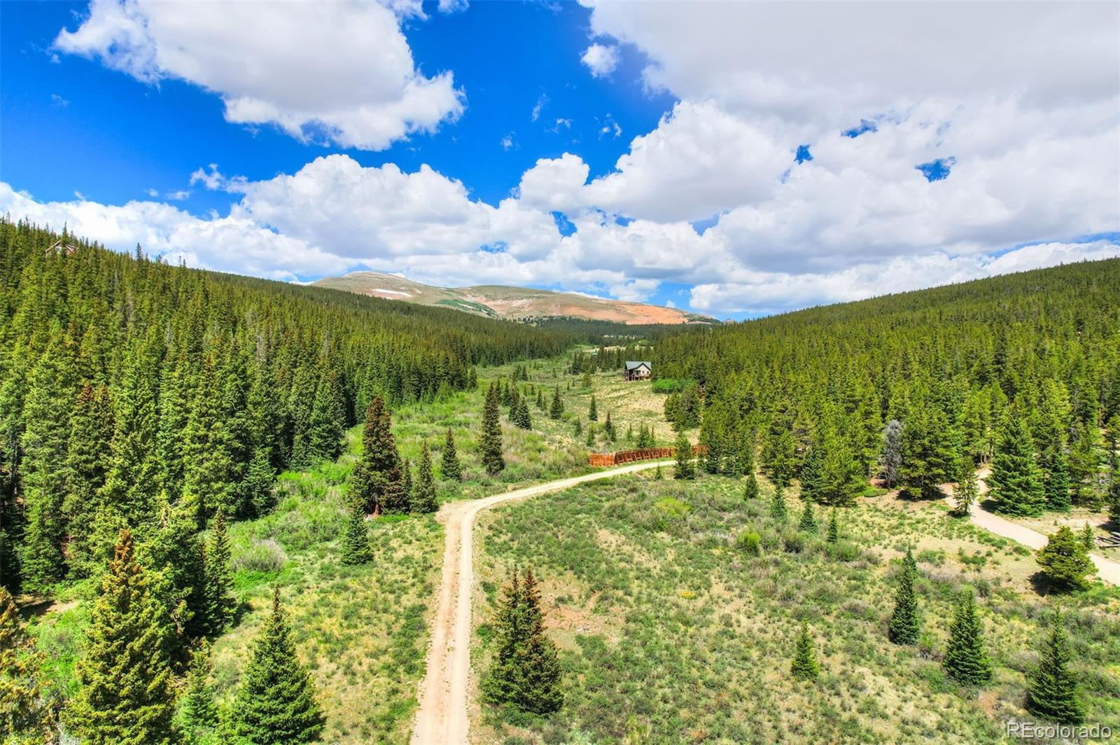 MLS Image #45 for 180  zebulon court,fairplay, Colorado